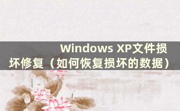 Windows XP文件损坏修复（如何恢复损坏的数据）